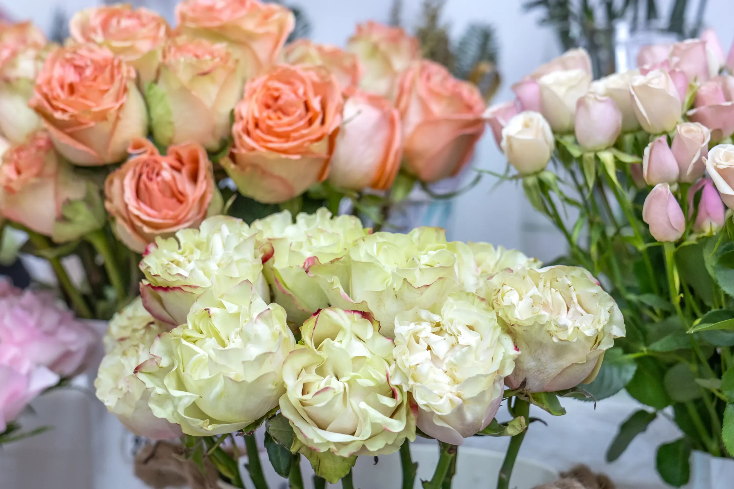 El Rosal de Kathaleya — Floristería de lujo en Bogotá